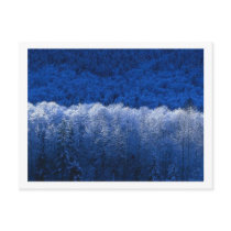 Treeland postcards by berrosmgirl76 Treeland postcards