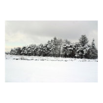 Treeline Winter Scene posters