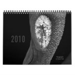 Trees 2010 wall calendar