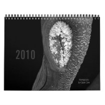 Trees 2010 wall calendar