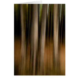 Trees abstract card