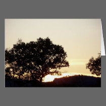 trees against sunset card cards