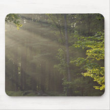 Trees alongside 7 Lakes Drive, Harriman, NY Mousepad