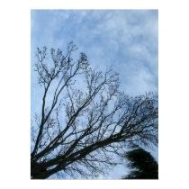 Trees and Clouds posters