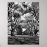 Trees and Clouds posters