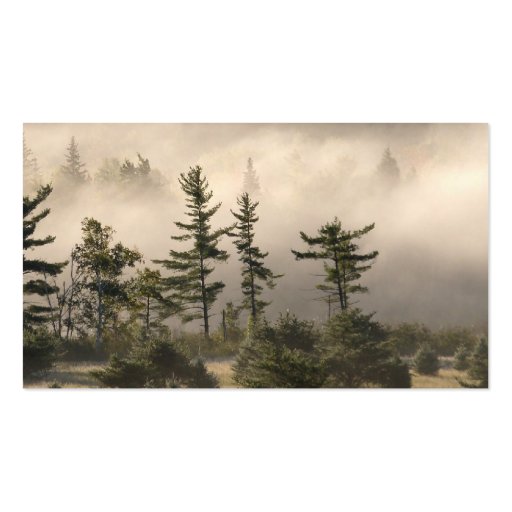 Trees and Fog Business Card Templates (back side)
