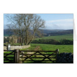 "Trees and Gate" Northumberland England Greeting Cards