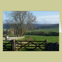 "Trees and Gate" Northumberland England cards