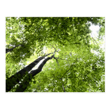 Trees and leaves post cards