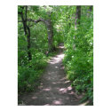 trees and path posters