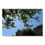 Trees and Sky Poster Print