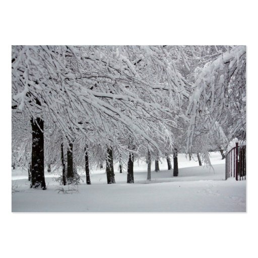 trees and snow business card templates (front side)