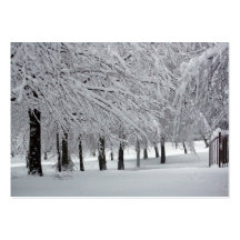 trees and snow business card templates