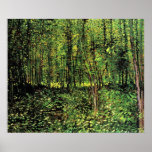 Trees And Undergrowth Poster