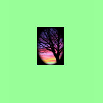 Trees are our friends. t-shirts by la_petite_moi Trees are our friends. t-shirts