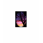 Trees are our friends. t-shirts