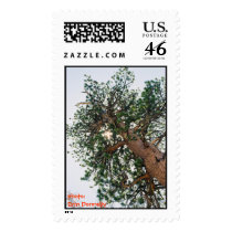 Trees are the best! stamps