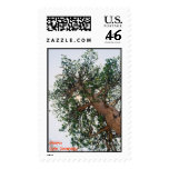 Trees are the best! postage