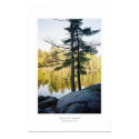 Trees At Dawn Print by elementb Trees At Dawn Print