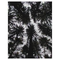 Trees at Highland Forest Park, New York letterhead by audbene Trees at Highland Forest Park, New York letterhead