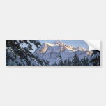 Trees At The Peak Bumper Sticker