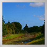Trees blue sky small stream photograph in Florida Poster