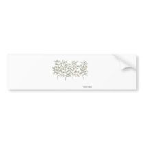 Trees. Bumper Stickers