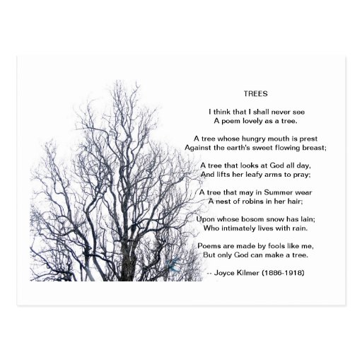 Trees, by Joyce Kilmer Postcard Zazzle