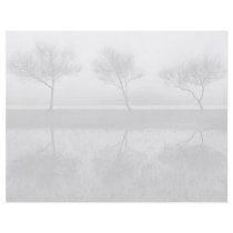 Trees by the lake flyer design