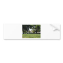 Trees by the Lake with Lawn Bumper Sticker