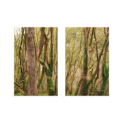 trees wrappedcanvas