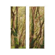 trees wrappedcanvas