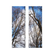trees wrappedcanvas