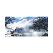 trees wrappedcanvas