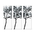 trees wrappedcanvas