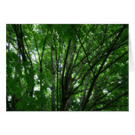 Trees Greeting Card