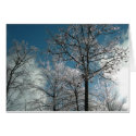 Trees covered in ice cards by bkang22 Trees covered in ice cards