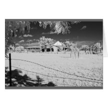 Trees, fence and barn on Texas ranch Greeting Cards