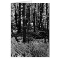 Trees, Ferns cards