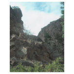 Trees flyers