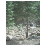 Trees Full Color Flyer