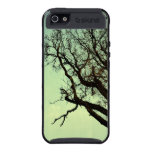 Trees II skinit case