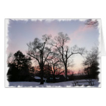 Trees in a sunset cards