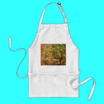 trees in autumn aprons