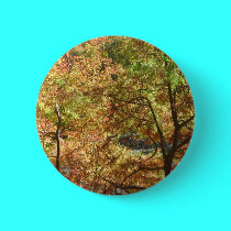 trees in autumn buttons