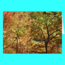 trees in autumn cards