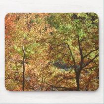 trees in autumn mousepads
