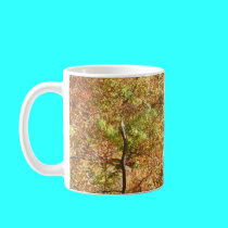 trees in autumn mugs