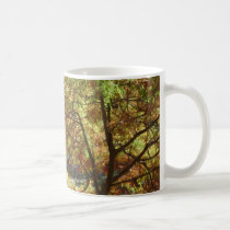 trees in autumn mugs