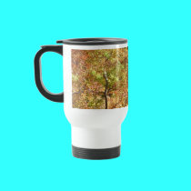 trees in autumn mugs